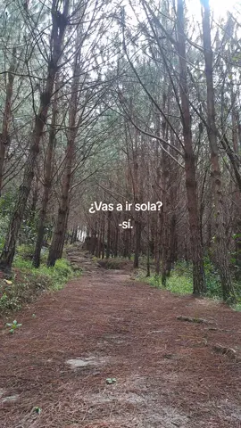 Solos somos más sabios. Logré las dos caídas de Gocta en un día, uno de los mejores trekking de mi vida, agradecida por tanto. #chachapoyas #gocta #paratiiiiiiiiiiiiiiiiiiiiiiiiiiiiiii #fyp #viajes 