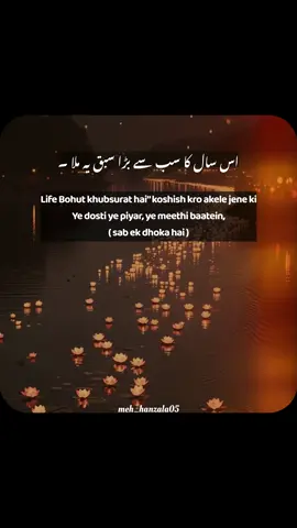 Point ❤️‍🩹🥹 #urdupoetry #poetrystatus #foryoupage #foryou #fyp 