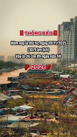 89 ngày #tetnguyendan2026🧧🎆🧨 #tetbinhngo #venhaantet #tet2026 #vequeantet 