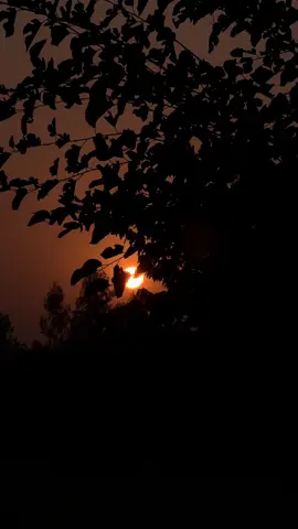 باب مارلے نے کہا تھا کہ تم کہتے ہو تمہیں سورج پسند ہے، لیکن جب دھوپ آتی ہے تم چھاؤں تلاش کرتے ہو، تم کہتے ہو تمہیں بارشیں پسند ہیں، لیکن جب بارش برستی تم چھتری تلاش کرتے ہو، پھر تم کہتے ہو تمہیں ہوائیں پسند ہیں ، جب ہوائیں چلتی ہیں تم کھڑکیاں بند کر دیتے ہو مجھے ڈر لگتا ہے جب تم کہتے ہو تمہیں میں پسند ہو  🖤#foryou #foryoupage #newaccount #naturalbeauty #itsluqman 