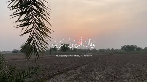 #quran #عبدالرحمن_مسعد 