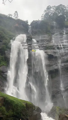 true asf 🥹💔 #fyp #wrizz #duet #browntiktok #creatorsearchinsights 