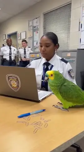 parrot tried flirting she said you're not her type 😂😂#TalkingParrot #FunnyReels #PoliceComedy #SavageParrot #parrot 