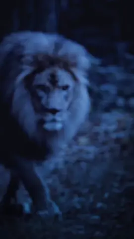 scopri come utilizzare i social in modo anonimo e intelligente. 👉🏻 Scrivimi 