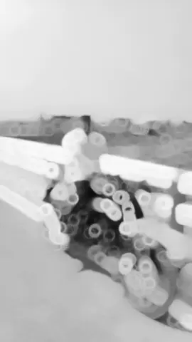 🇵🇸🇵🇸🇵🇸🇵🇸🇵🇸🇵🇸🇵🇸🇵🇸🇵🇸🇵🇸🇵🇸🇵🇸🇵🇸🇵🇸🇵🇸🇵🇸🇵🇸🇵🇸🇵🇸🇵🇸🇵🇸🇵🇸🇵🇸🇵🇸🇵🇸🇵🇸🇵🇸🇵🇸🇵🇸🇵🇸🇵🇸🇵🇸🇵🇸🇵🇸🇵🇸🇵🇸🇵🇸🇵🇸🇵🇸🇵🇸🇵🇸🇵🇸🇵🇸🇵🇸🇵🇸🇵🇸🇵🇸🇵🇸🇵🇸🇵🇸🇵🇸🇵🇸