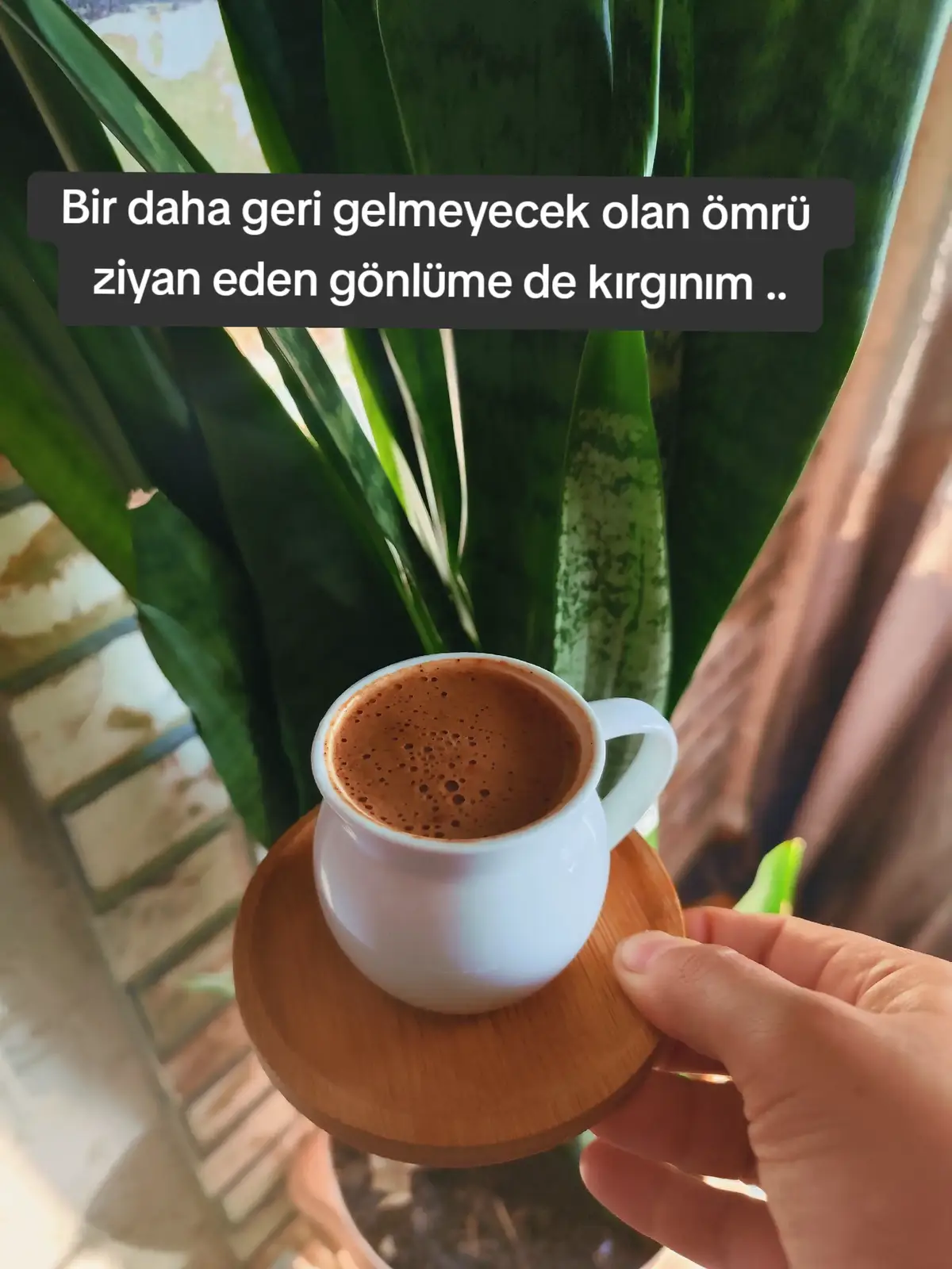 #keşfetteyizzz #keşfet #tiktokviral #fyppppppppppppppppppppppp #fy 