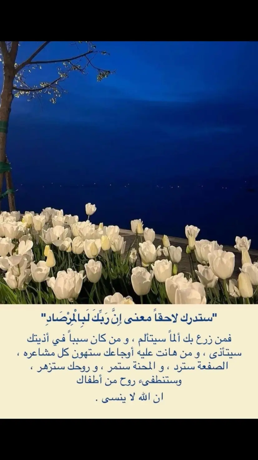 اللهم اجعل سعينا في رضاك واجعل ‏نهاية دربِنا جنة عرضها السموات والأرض✨.