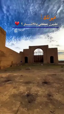 عـيونك طيرن عگلي بالاثـار 🤎. #شعراء_وذواقين_الشعر_الشعبي  #عمار_هلال_amar_hilal #قصائد  #الموصل #قضاء_الحضر  @بسمان الحجي 