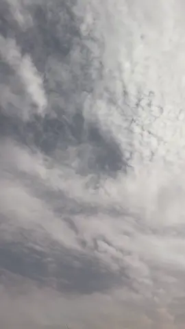 #ماشاءالله_تبارك_الله #طلعاتي_وتصويري #الطويل_راف_الحصان ♥️♥️