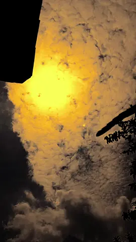 اسوة.:ربما هذا صحيح، أحد أشكال الحب هو السماح له بالرحيل 