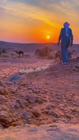 ##اكسبلور_تيك_توك 