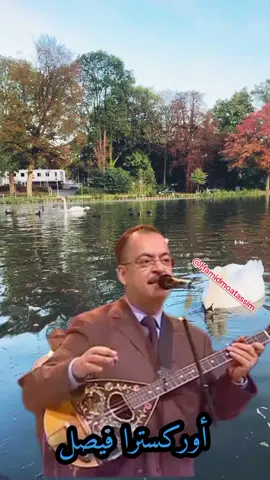 اغاني الزمن الجميل ـ تابعوني وخلي صوت الماضي يعيش من جديد ـ  ياحبيبي قول لي مالك - أوركسترا فيصل #viral_video #هاشتاقات_تيك_توك_العرب #فرنسا🇨🇵 #views #بريطانيا🇬🇧 