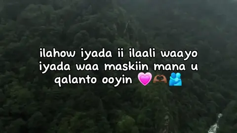 #creatorsearchinsight #fyp #foryoupage 