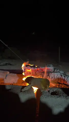 #اكسبلورexplore 