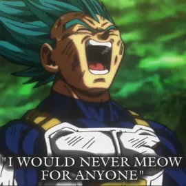 Meow meow vegeta // vegeta edit💔 sorry just had to do this to my goat #vegeta #edit #viral #dragonball #meowdance 