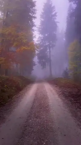 YoNe #💖 #💖 #💖 #💖 