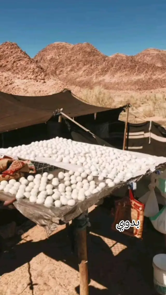 #ربابه  #بدوي  #متابعه  #اكسبلورexplore  #متابعه_ولايك_واكسبلور_احبكم  #تيك_توك  #مشاهير_تيك_توك  #دويتو  #هجيني  #شعر 