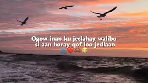 🖤 #J͜͡a͜͡a͜͡b͜͡i͜͡r͜͡o͜͡w͜͡☠️🦧 #viewslaaan🥺💔😭 