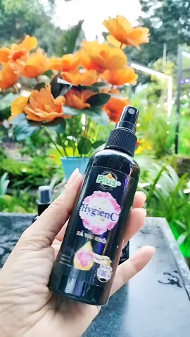 xịt xã vải khô Hygienic hương thơm hiện đại lưu hương lâu khử mùi bền màu vải #emmonggiadung #xitvaikhohygienc #giadungtienich #xitvaikhohygienc #xitvaikhohygienc 