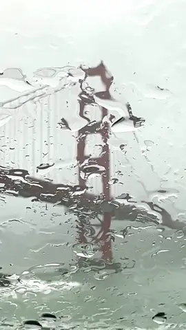 Last weekend had a little rain, a little fog, and a whole lot of San Francisco charm. 🌧️🌉 Find our favorite ways to spend a rainy day in SF at the 🔗 in our bio. 📸 415urbanadventures