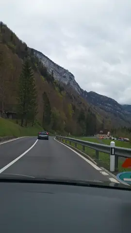 #مناظر_🌳🎄غابات🌲💐طبيعيه_رائعة #🇨🇭جبال #🤍جمال💐 #سويسرا🇨🇭 #طبيعة_ساحرة 