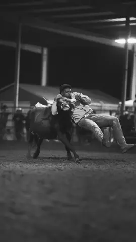 Steer was strong asf 😅🔥🤠 #fyp #steerwrestling #viralvideo 