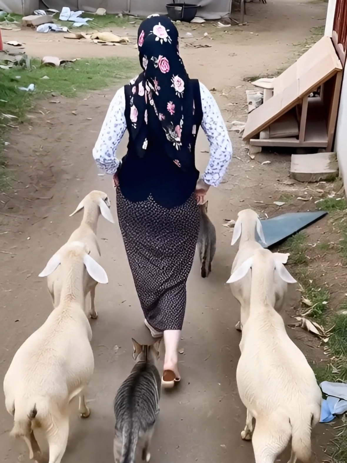 #hijab #viral #dress #fyp #model 