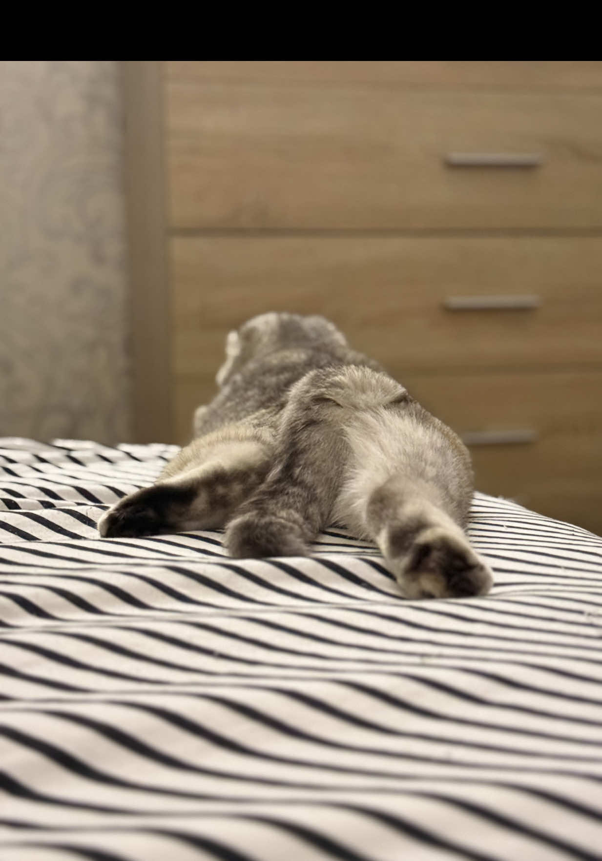 Живет свою лучшую жизнь 🤍