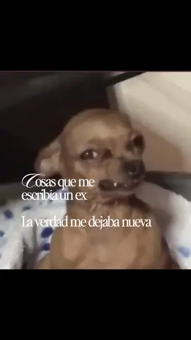 El rencor no es bueno 🫢  #ex #humor #fyp 