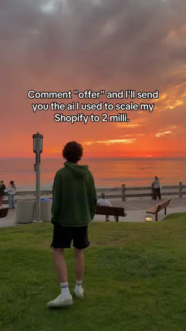 No cap, partnered with shopify to make this happen. #shopify #ecommerce #onlinebusiness #ecom 