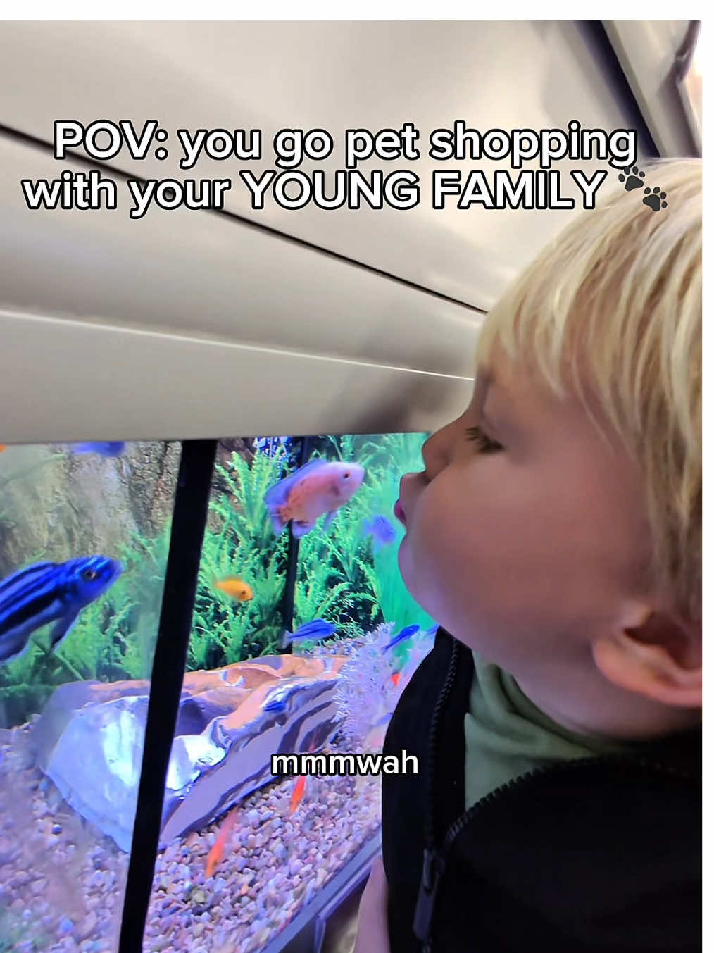 Jay calls them ALL fish 🐟 😂  We had a suuuper rainy weekend which can be tricky when our favorite things are being outside. But we had so much fun at Petsmart. So cool to watch Gods colorful creations.  Did you have a pet growing up? What pet should we get Jay and Sarah? #pov #family #baby #cuteanimals #dadsoftiktok 