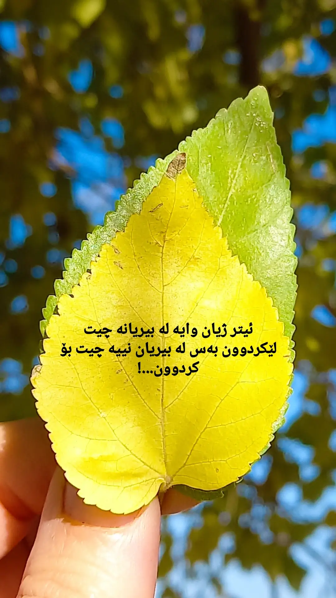 #وێنەکانم #وتەکانم🌚🖤 #جوانی_وتەکان 