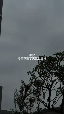 淡人vlog #淡人 #雨天宅家 #Vlog #日常vlog #獨處 