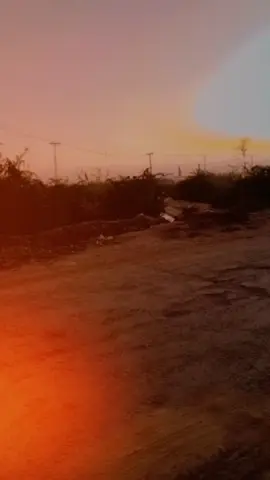 ❤️❤️❤️❤️