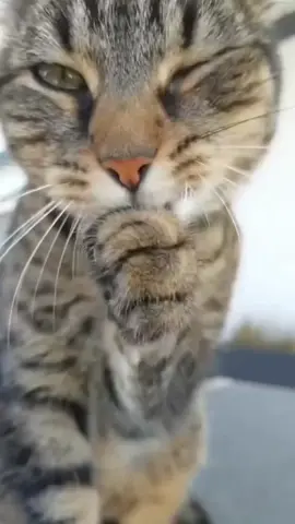 #вечернийпозитивчик🤪✌️😜 