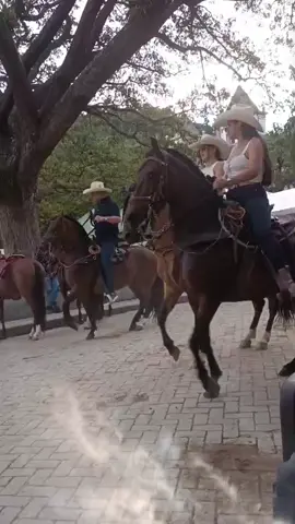 Bolívar siendo Bolívar 🐴