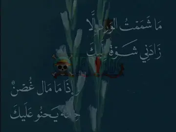 ماشممت الورد الا زادني شوقاً اليك . ❤️‍🩹 #onepiece #ونبيس #ماشممت_الورد_إلا_زادني_شوقاً_إليك #ونبيس_قبل_السنتين#fyp #anime 