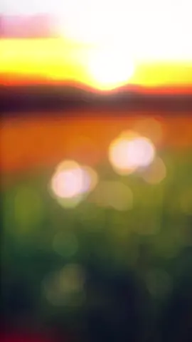 عادة عدنه الي يحب (بصوتي) #تصميم_فيديوهات🎶🎤🎬 