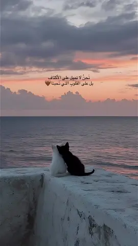 #viralvideo #🤗🤗🤗 #tiktokindia #viralvideo 