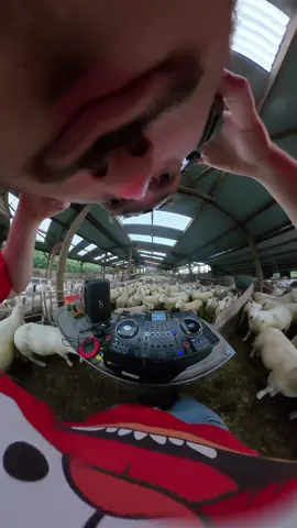 legendary crowd 🐑🪩 #fyp #housemusic #sheep #dj #vibe 