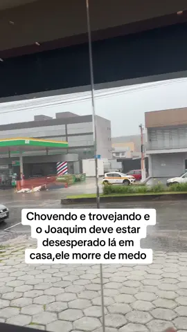 Eu morro de dó quando ele tá sozinho porque eu sei que ele sofre,ainda mais quando está chovendo e trovejando🖤#pet #dog #doglovers #dogsofttiktok 