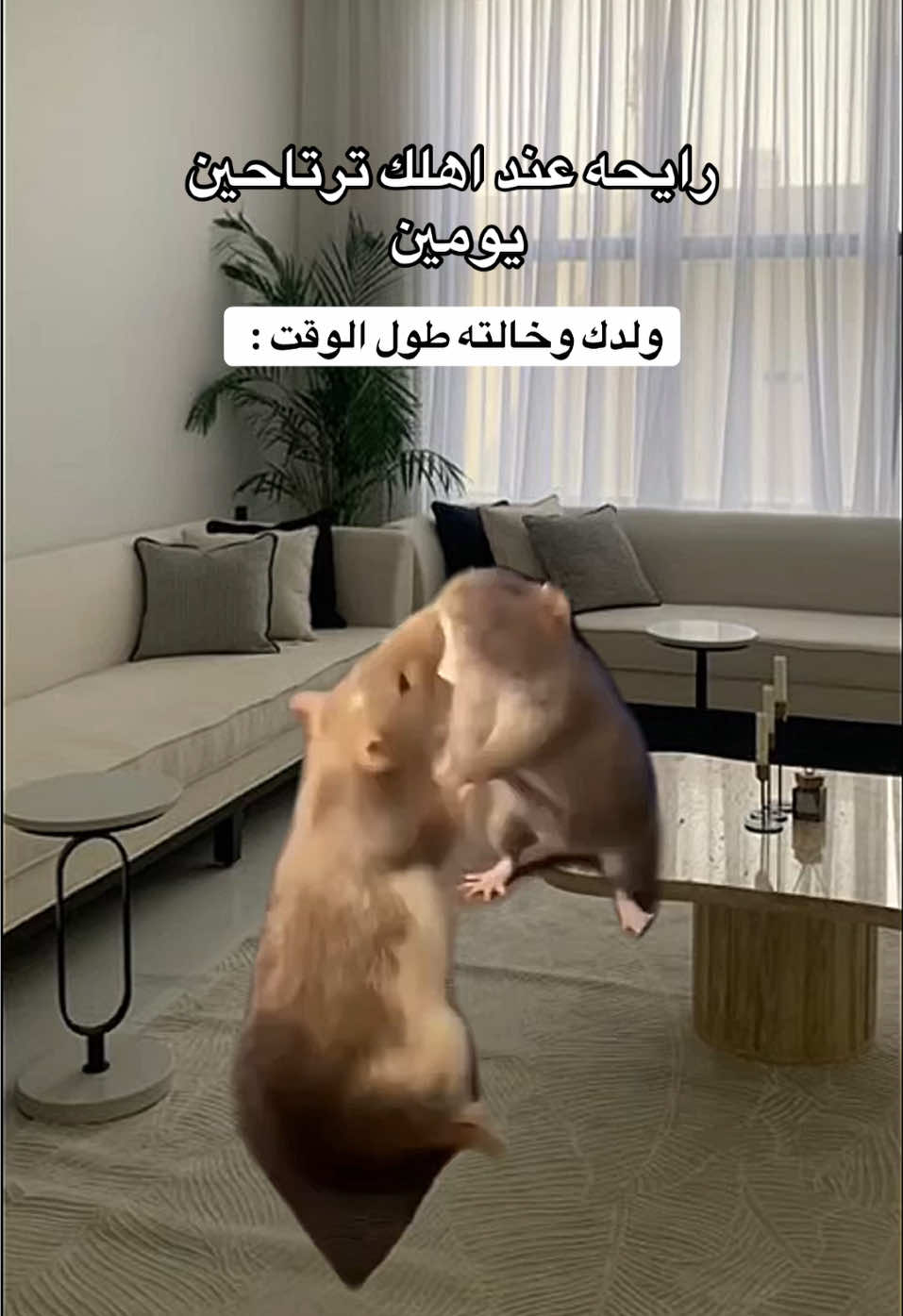 🥲🥲🥲
ً
ً
ً
ً
ً #fyppppppppppppppppppppppp #الشعب_الصيني_ماله_حل😂😂 #ضحك #ميمز #رياكشن 