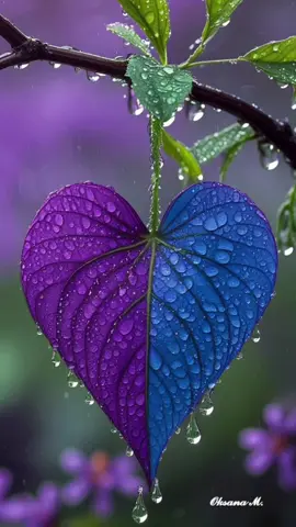 #الباقيات الصالحات خيراً وأبقى 🌹💜💙