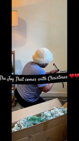 #CapCut #christmas #christmastreefarm #tiktokmademebuylt #snowwhite @TII Brands 