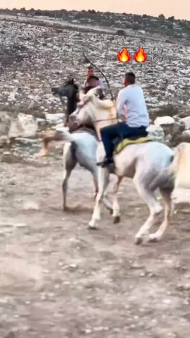 #الخيل_عشق_لاينتهي #الخيل_العربي_الاصيل🐎 #الخيل_العربية #ابوسنينةوإقطع #ابواسامه☝ 