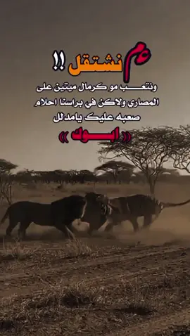 عم اقول لكم❤️🖤#اكسبلورexplore #اكسبلورexplore #تصميم_فيديوهات🎶🎤🎬 