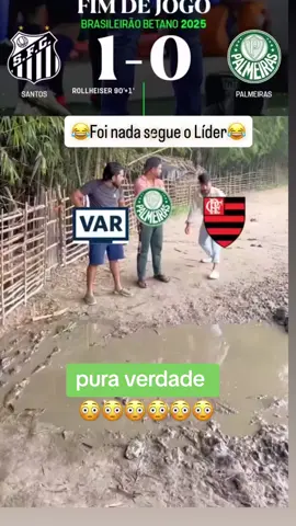 #tiktokcriador #manchaverde #palmeirasnotiktok #palmeirasoficial #palmeirasminhavidaevoce 