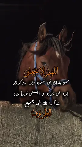 #ستوريات #تيك_توك #أكسبلورر #فولو #fyp 