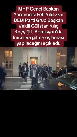 MHP Genel Başkan Yardımcısı Feti Yıldız ve DEM Parti Grup Başkan Vekili Gülistan Kılıç Koçyiğit, Komisyon'da İmralı'ya gitme oylaması yapılacağını açıkladı: 