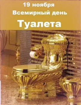 #сднемтуалета#19#ноябрь#праздник #fyp